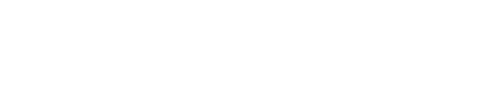 MrPunter logo